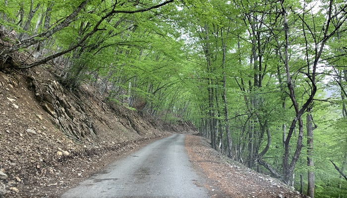 Романовское шоссе в Крыму