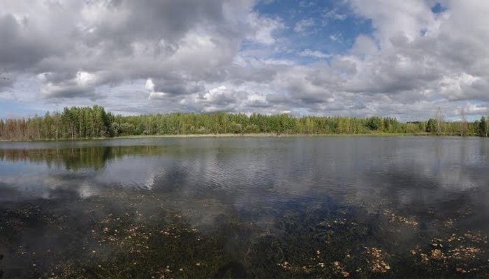 Река Воронцовка