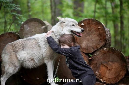 Фото ЭкоПрогулки с животными Дом волка