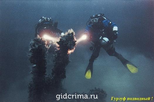 Фото Дайвинг центр Гурзуф подводный