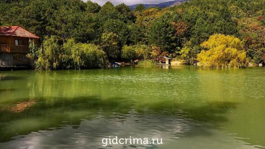Фото Васильевское озеро