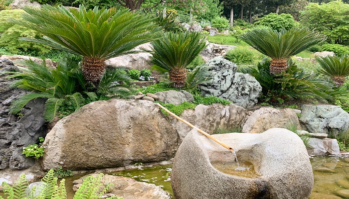 Японский сад в парке Айвозовское в Крыму