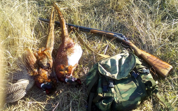 фото охота на фазана в Крыму