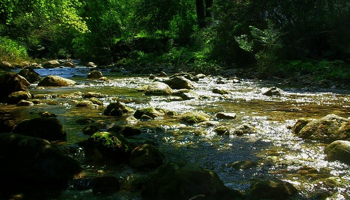 Река Коккозка