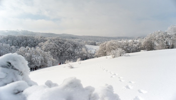 фото погода зимой в Крыму