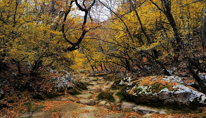 Фото Засушливая осень в Крыму