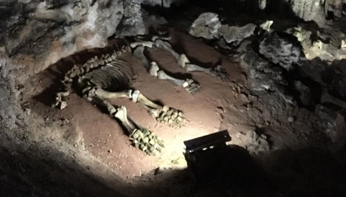 Что посмотреть в Крыму Мамонтовая пещера