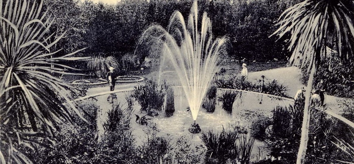 История Никитского ботанического сада